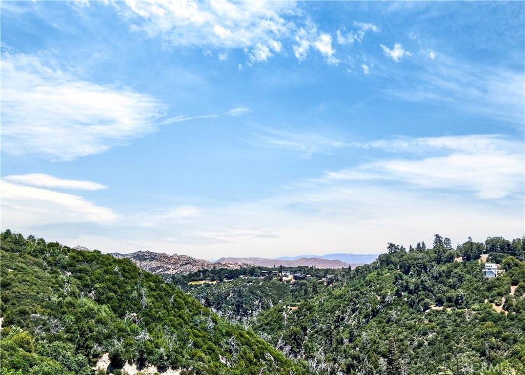 26850 Inyo Court Lake Arrowhead, CA 92352 - Photo 25 of 34
