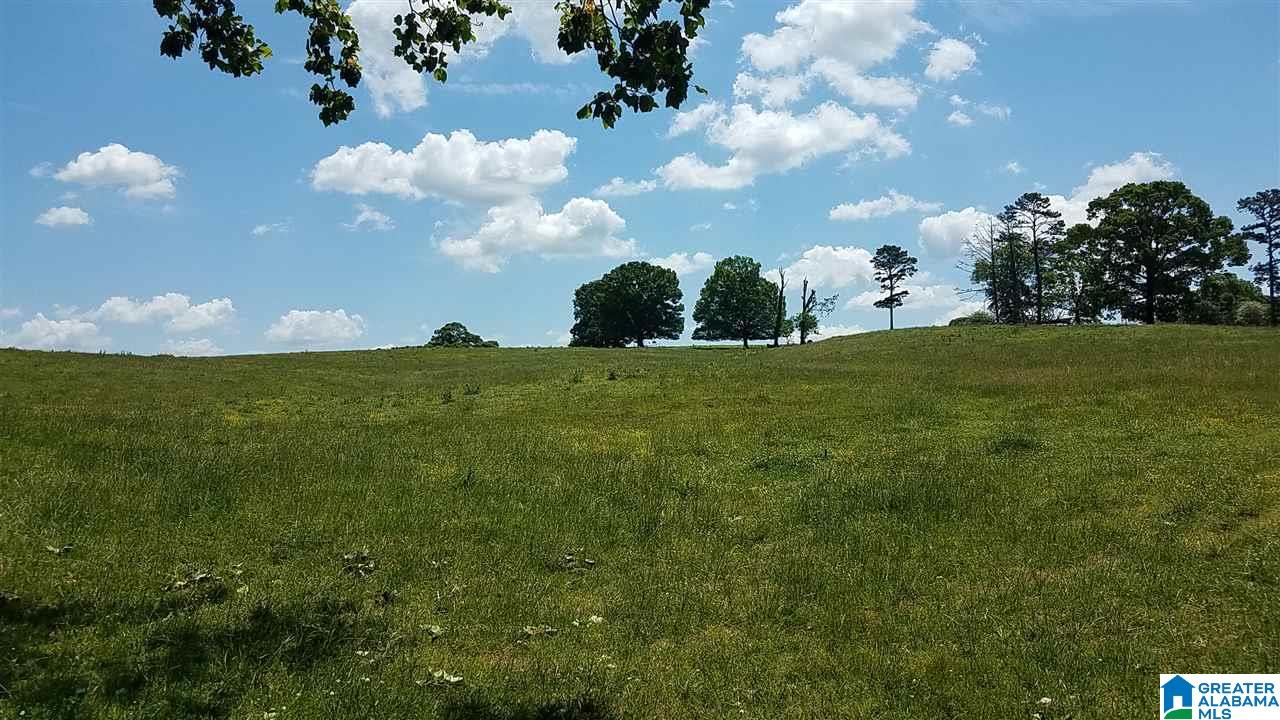 31 County Road Ashland, AL 36251 - Photo 28 of 38