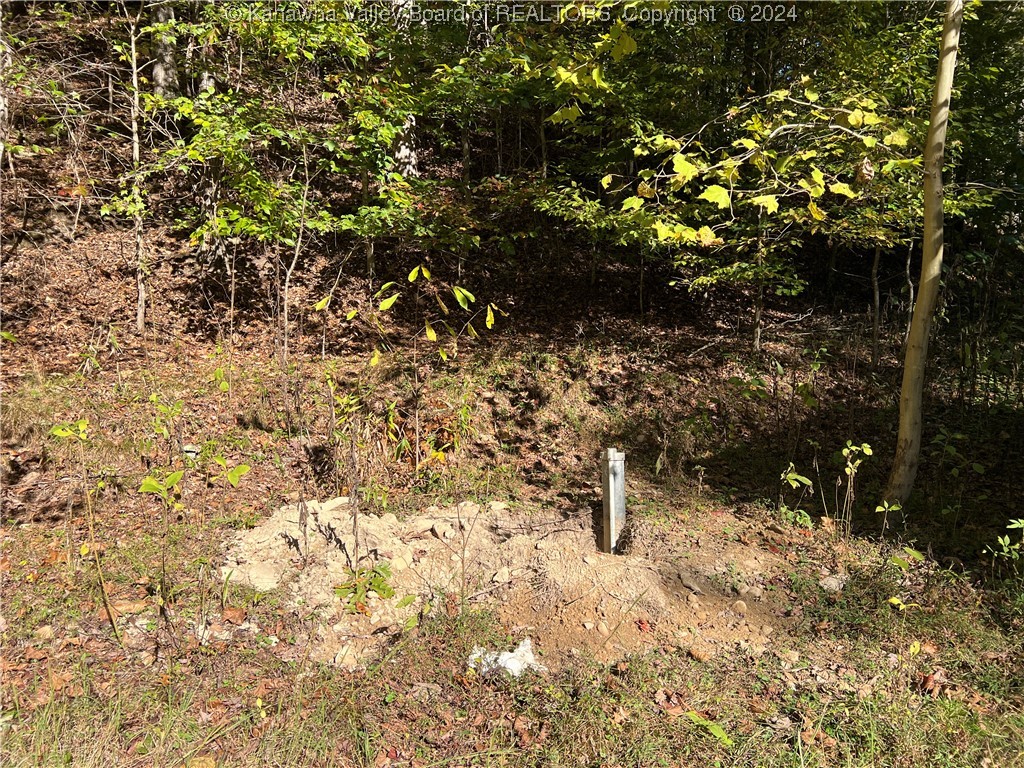 1586 Porter Creek Road Bomont, WV 25030 - Photo 12 of 12 Gallery Image 12