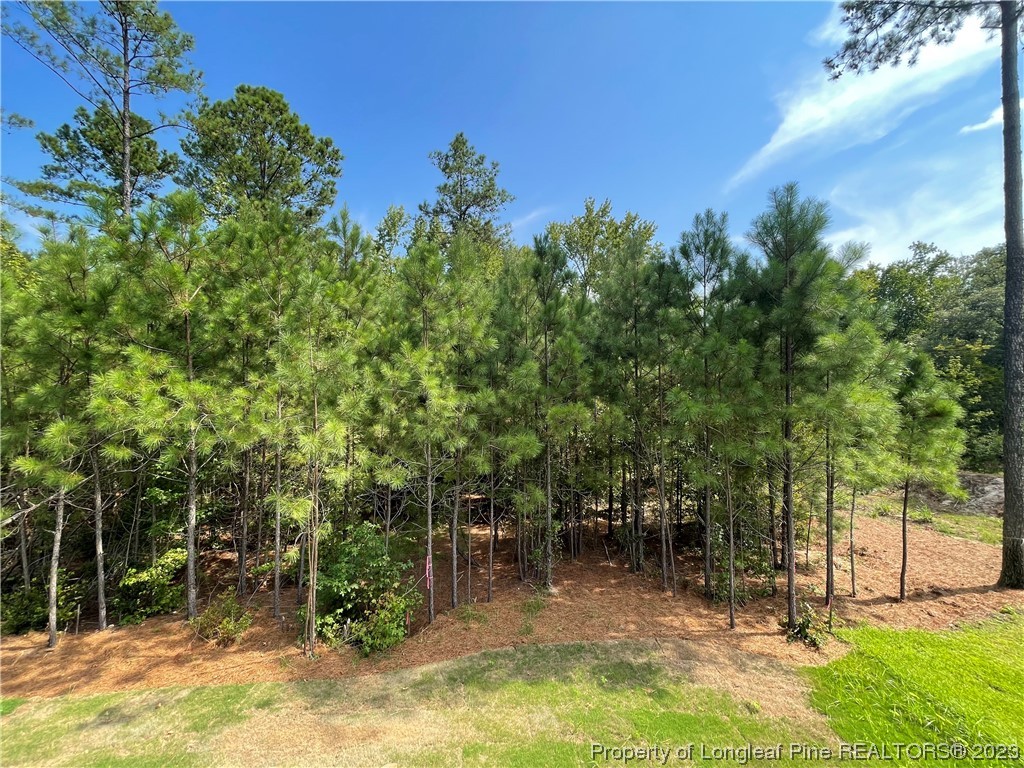 259 Timber Skip Drive Spring Lake, NC 28390 - Photo 13 of 14 Gallery Image 13