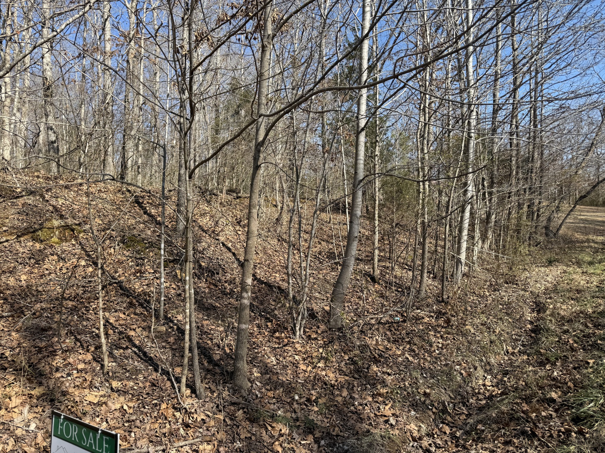 0 Hurricane Loop Tennessee Ridge, TN 37178 - Photo 3 of 9