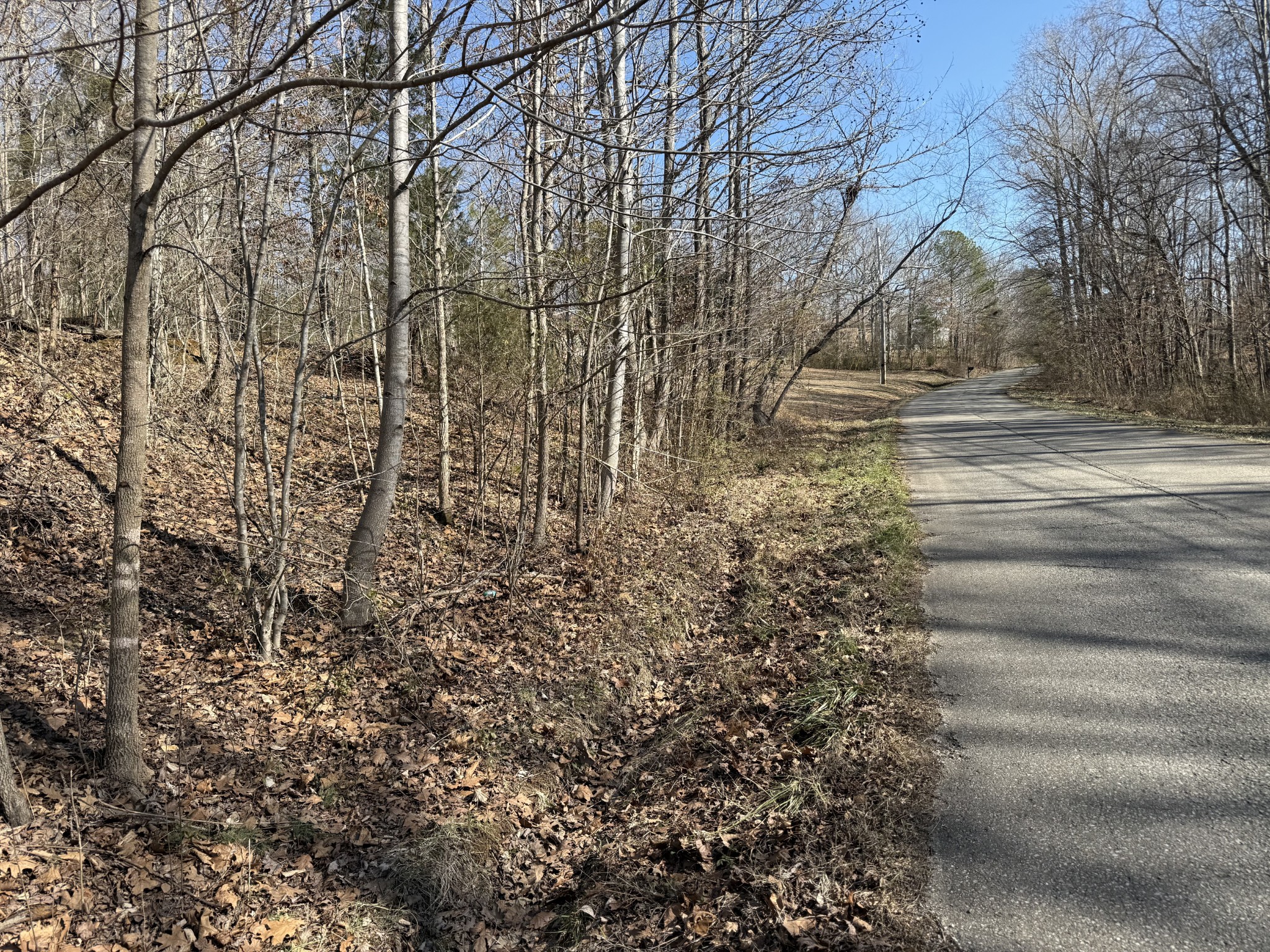 0 Hurricane Loop Tennessee Ridge, TN 37178 - Photo 4 of 9 a view of yard with tree s