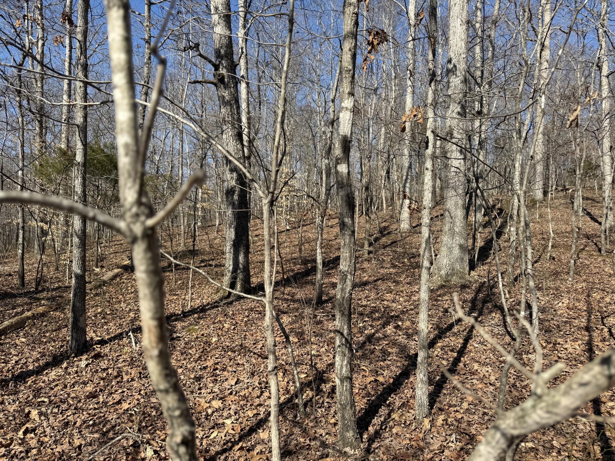 0 Hurricane Loop Tennessee Ridge, TN 37178 - Photo 5 of 9 a close up of a sink