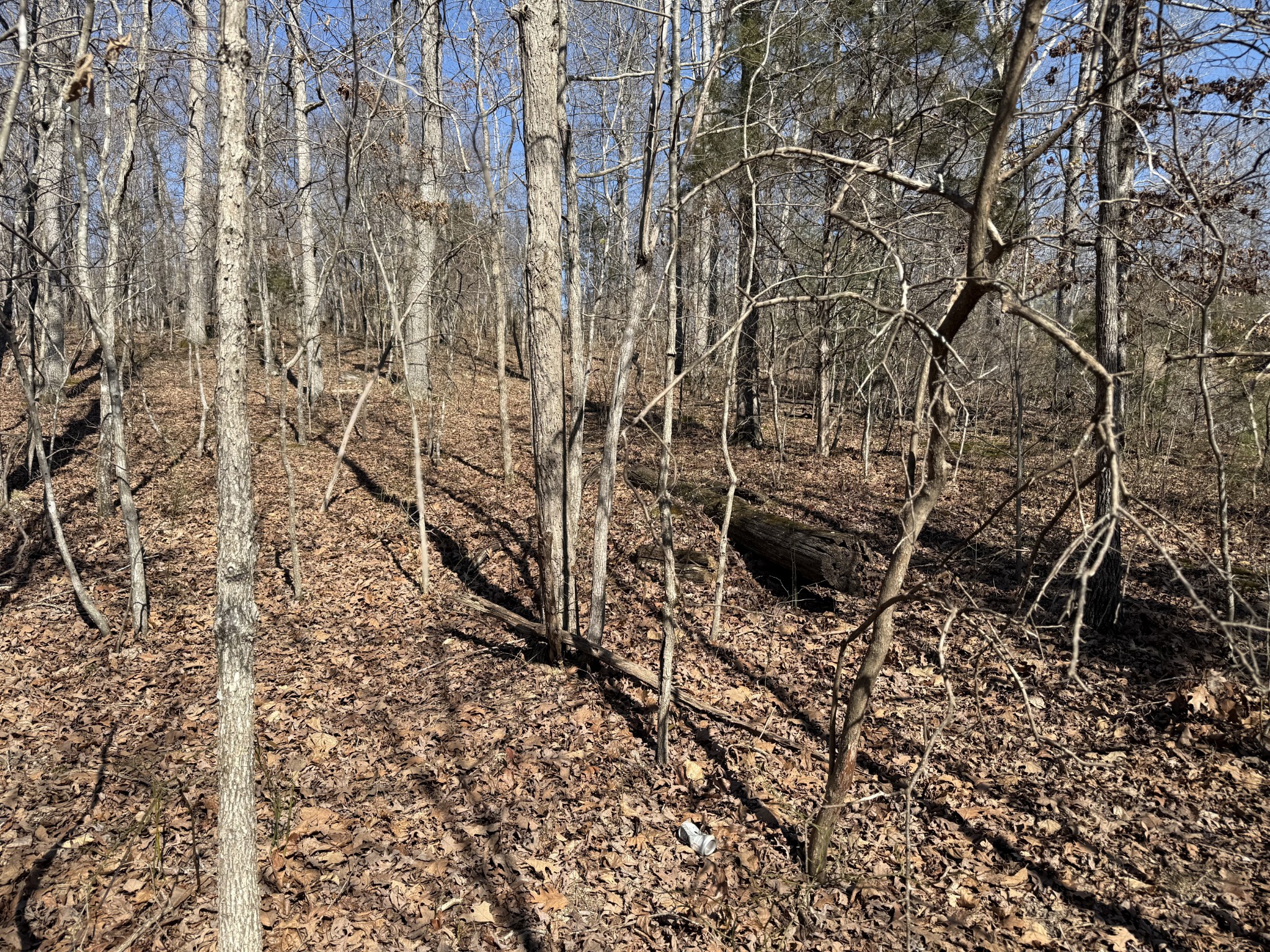 0 Hurricane Loop Tennessee Ridge, TN 37178 - Photo 7 of 9 a view of a backyard of the house