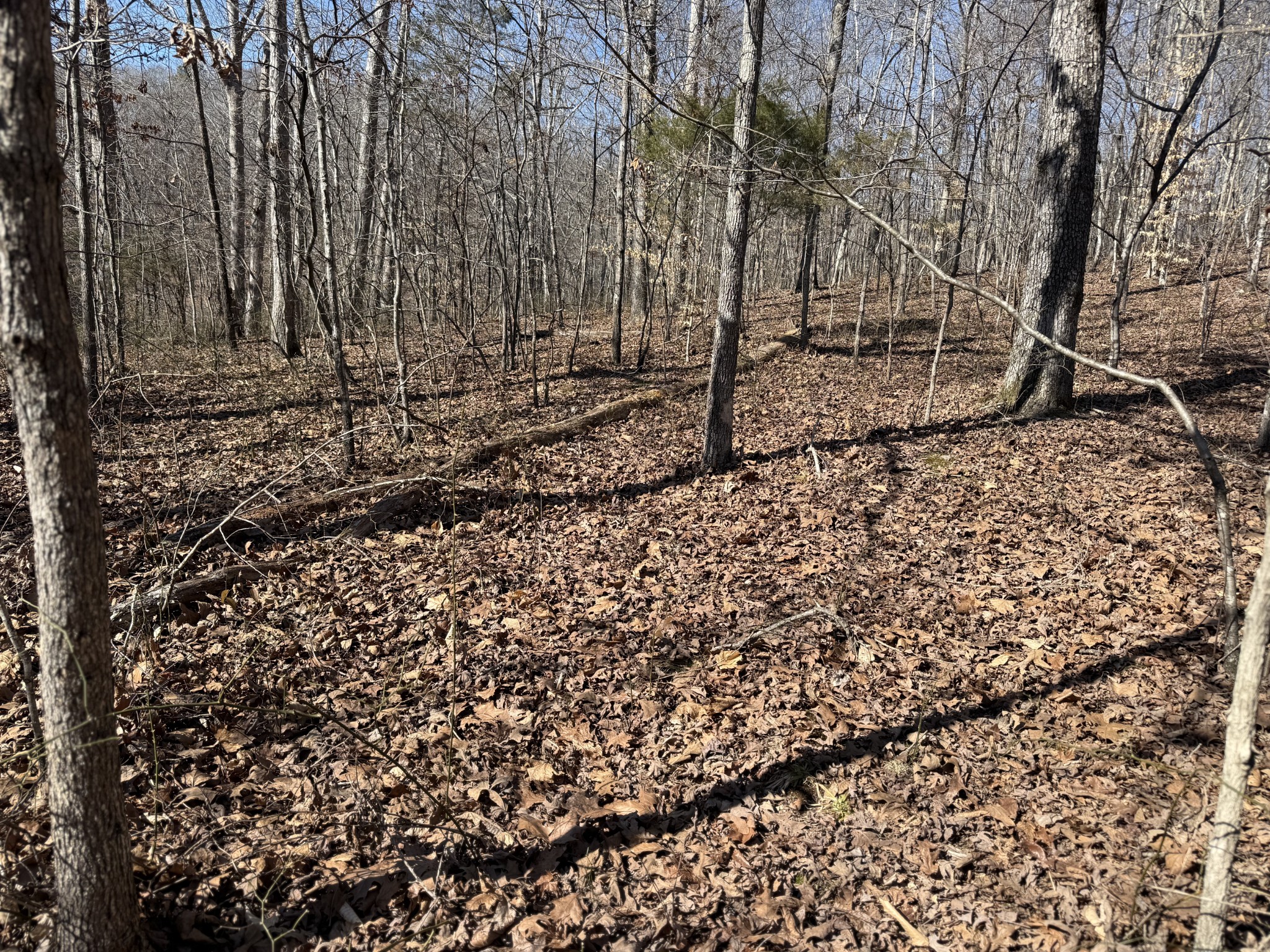 0 Hurricane Loop Tennessee Ridge, TN 37178 - Photo 8 of 9 a view of a backyard of the house