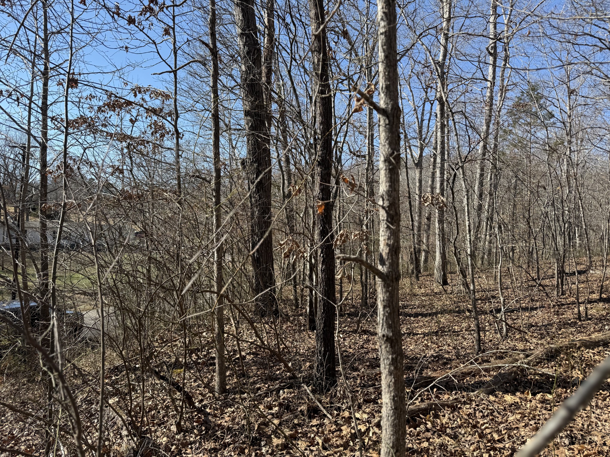 0 Hurricane Loop Tennessee Ridge, TN 37178 - Photo 9 of 9