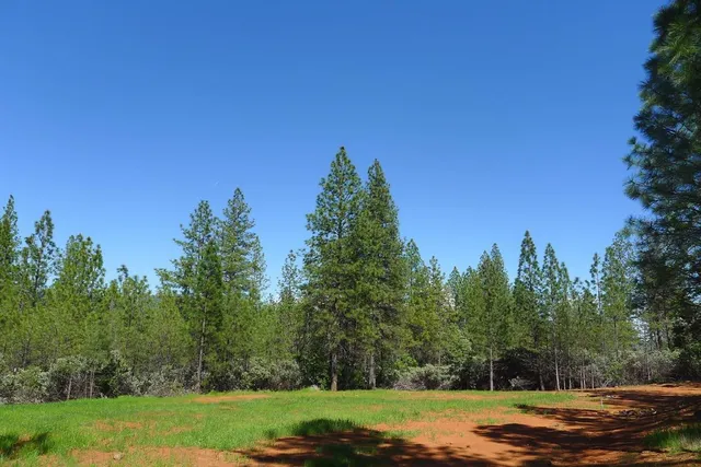 $125,000 | 13555 Providence Way, Dobbins, CA 95935