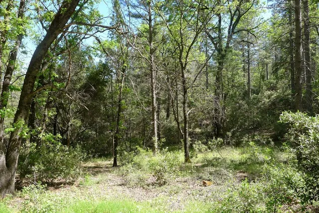 $125,000 | 13555 Providence Way, Dobbins, CA 95935