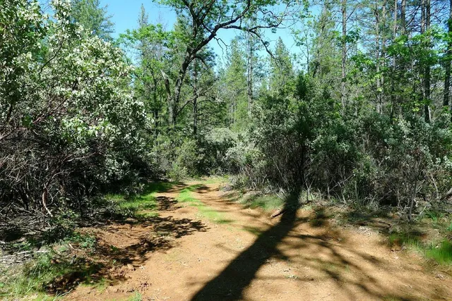 $125,000 | 13555 Providence Way, Dobbins, CA 95935