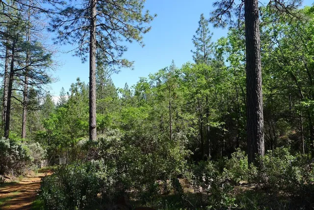 $125,000 | 13555 Providence Way, Dobbins, CA 95935