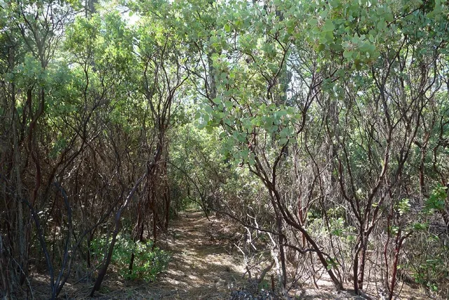 $125,000 | 13555 Providence Way, Dobbins, CA 95935