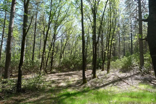 $125,000 | 13555 Providence Way, Dobbins, CA 95935