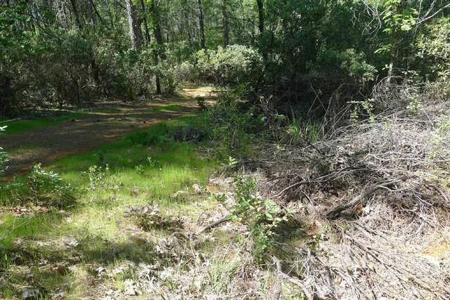 $125,000 | 13555 Providence Way, Dobbins, CA 95935