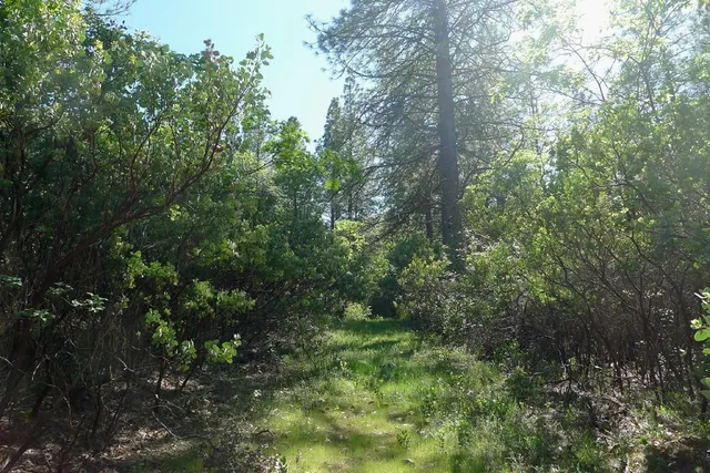 $125,000 | 13555 Providence Way, Dobbins, CA 95935