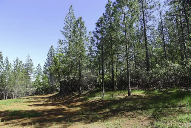 $125,000 | 13555 Providence Way, Dobbins, CA 95935