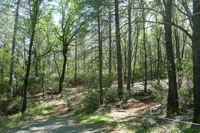 $125,000 | 13555 Providence Way, Dobbins, CA 95935