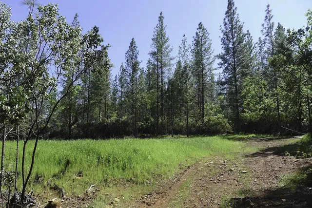 $125,000 | 13555 Providence Way, Dobbins, CA 95935