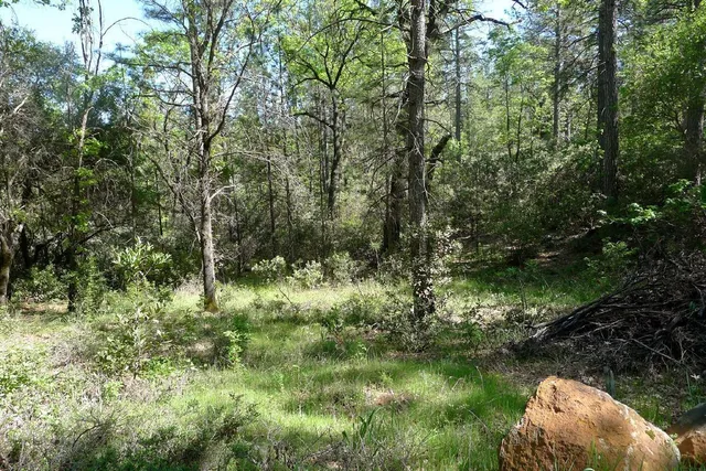 $125,000 | 13555 Providence Way, Dobbins, CA 95935