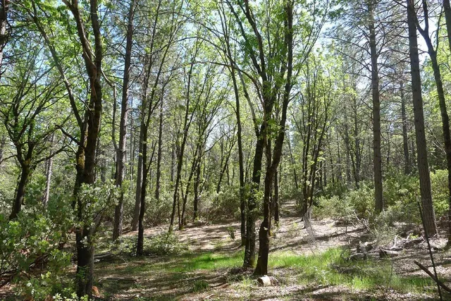 $125,000 | 13555 Providence Way, Dobbins, CA 95935