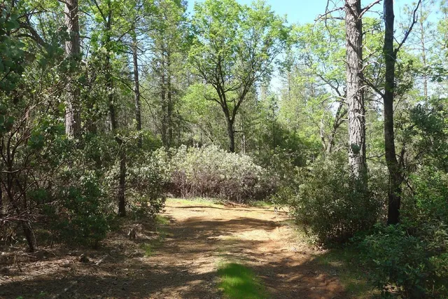 $125,000 | 13555 Providence Way, Dobbins, CA 95935