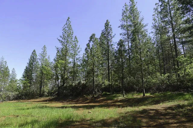 $125,000 | 13555 Providence Way, Dobbins, CA 95935