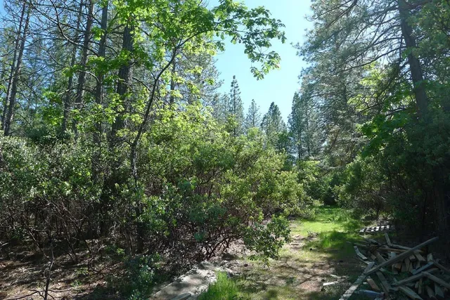 $125,000 | 13555 Providence Way, Dobbins, CA 95935