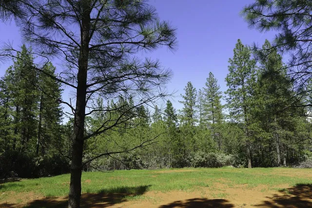 $125,000 | 13555 Providence Way, Dobbins, CA 95935