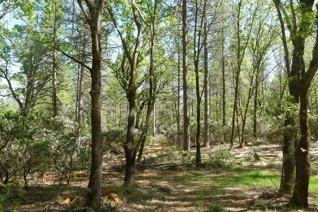 $125,000 | 13555 Providence Way, Dobbins, CA 95935