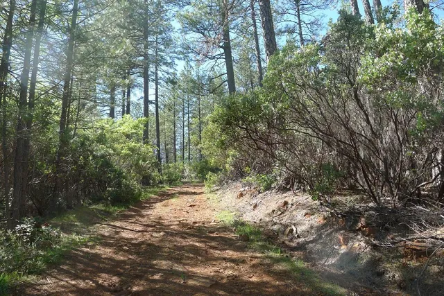 $125,000 | 13555 Providence Way, Dobbins, CA 95935