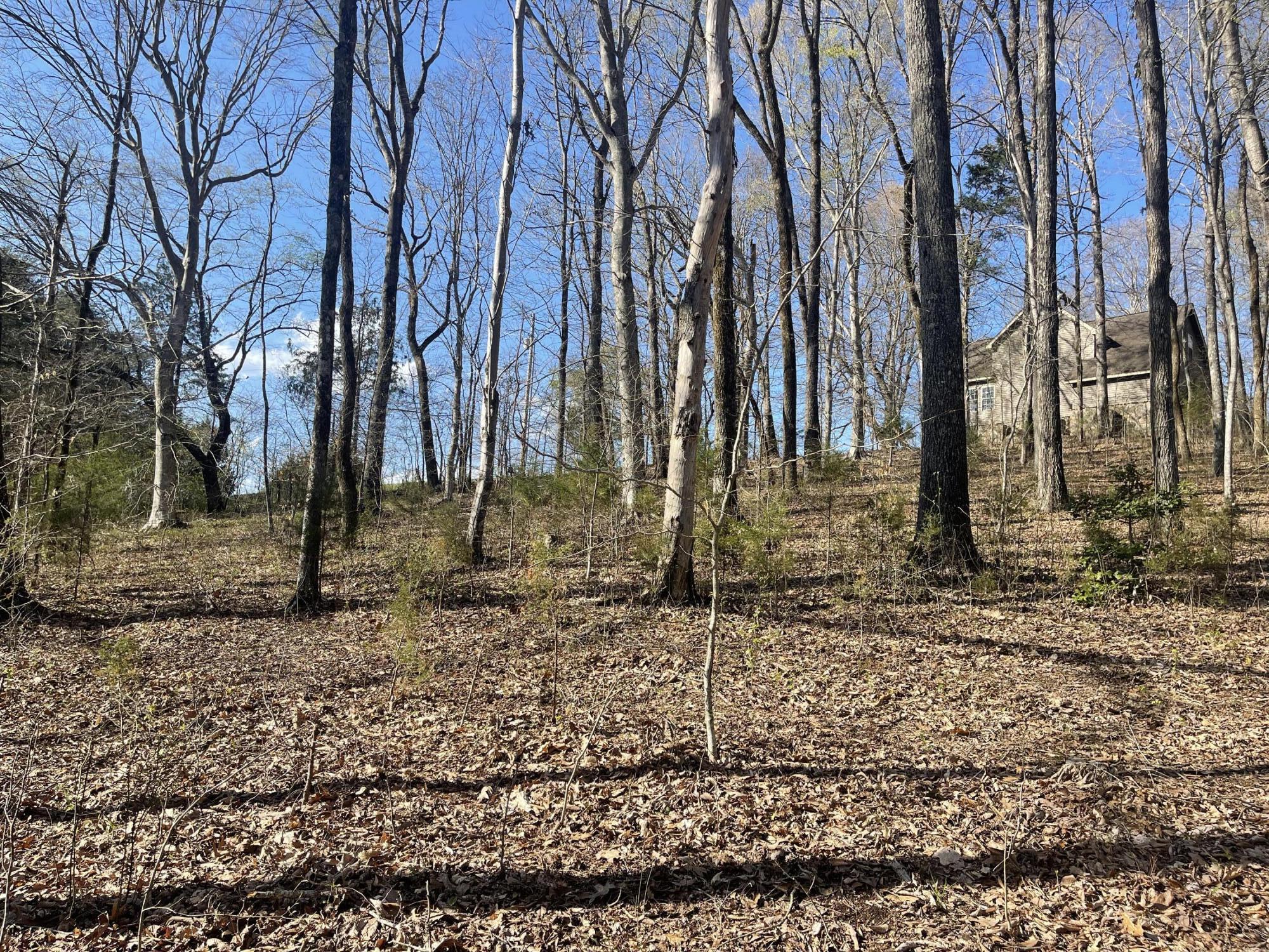 109 Homestead Road Whitwell, TN 37397 - Photo 104 of 130 07C3A245-BF71-4645-9221-E5EC1E9EFF91