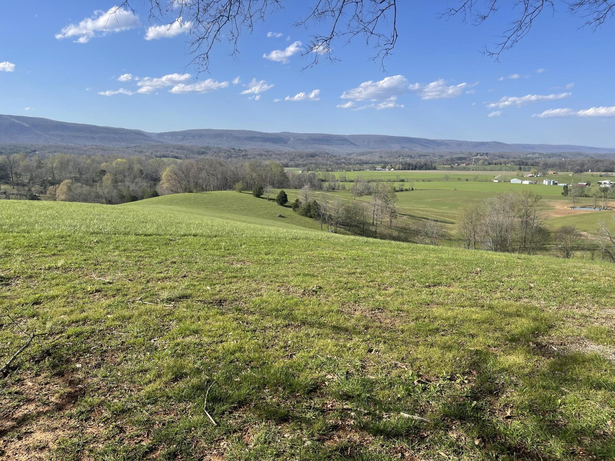109 Homestead Road Whitwell, TN 37397 - Photo 106 of 130 FF6CF77B-6722-40F3-A02A-7A1EF189DF90