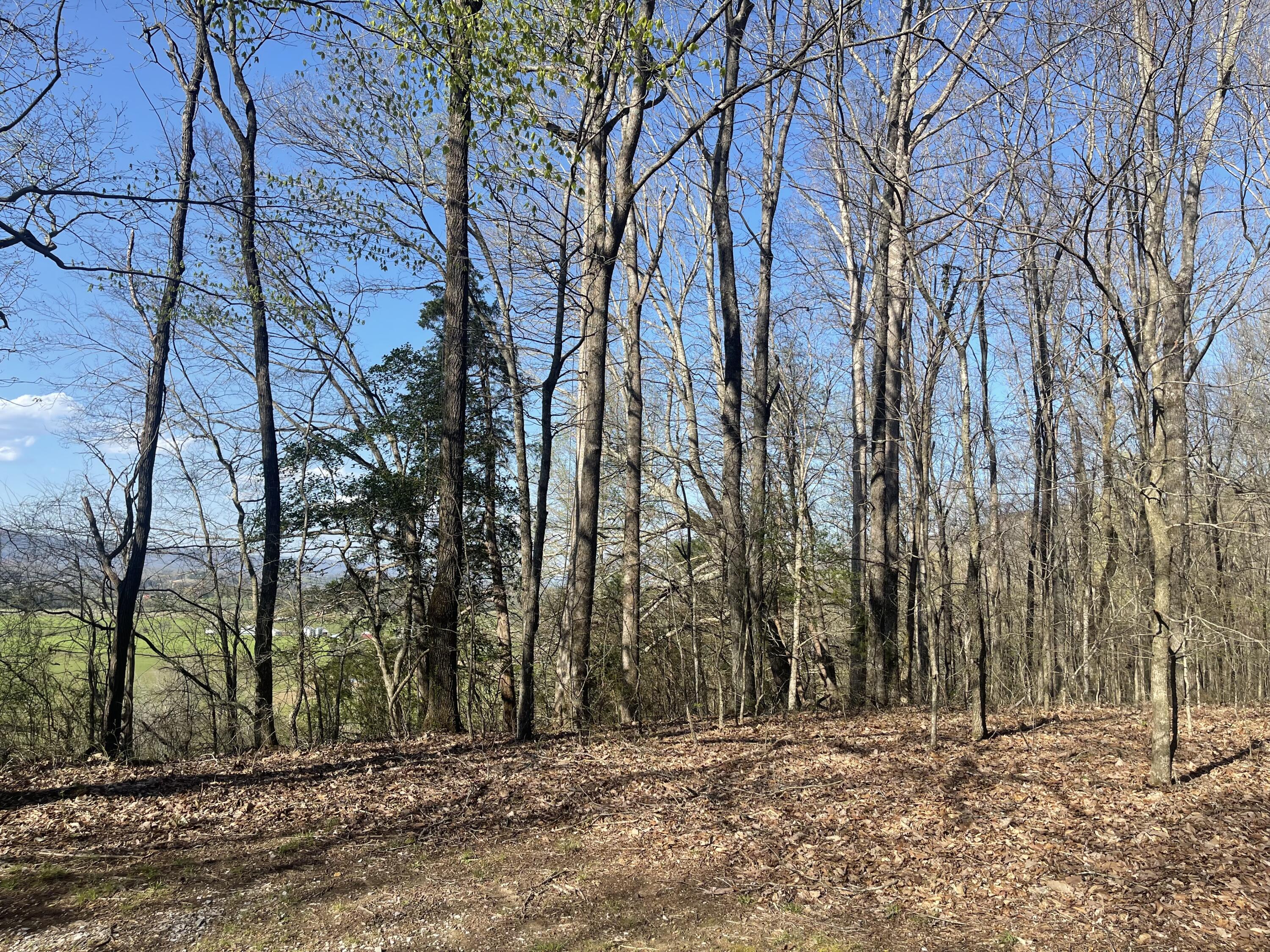 109 Homestead Road Whitwell, TN 37397 - Photo 107 of 130 AB1FEB08-725E-4B78-B0C8-020A2C7911E7