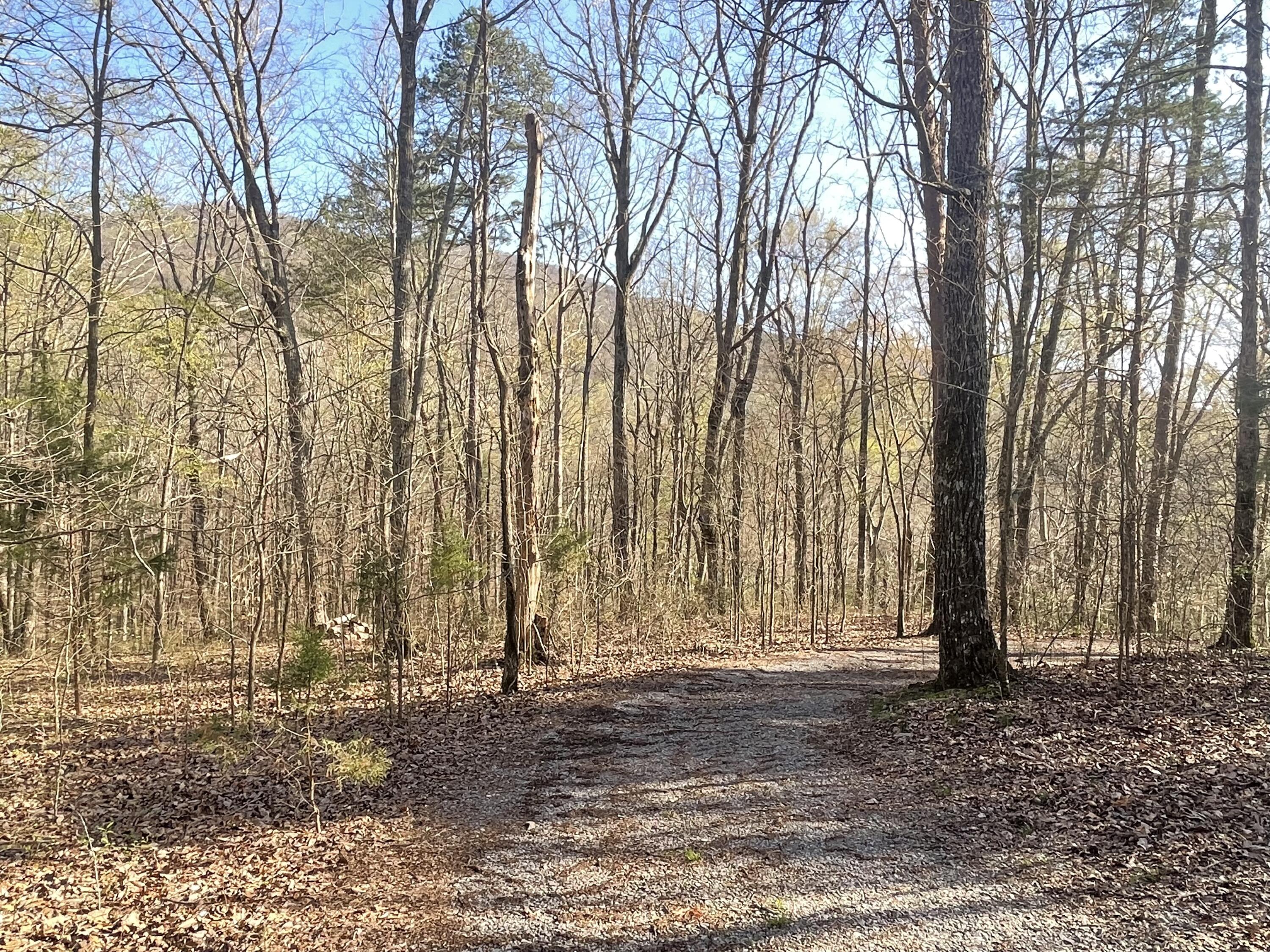 109 Homestead Road Whitwell, TN 37397 - Photo 111 of 130 A0BAE7B2-3E45-4D03-A752-5C276007D975