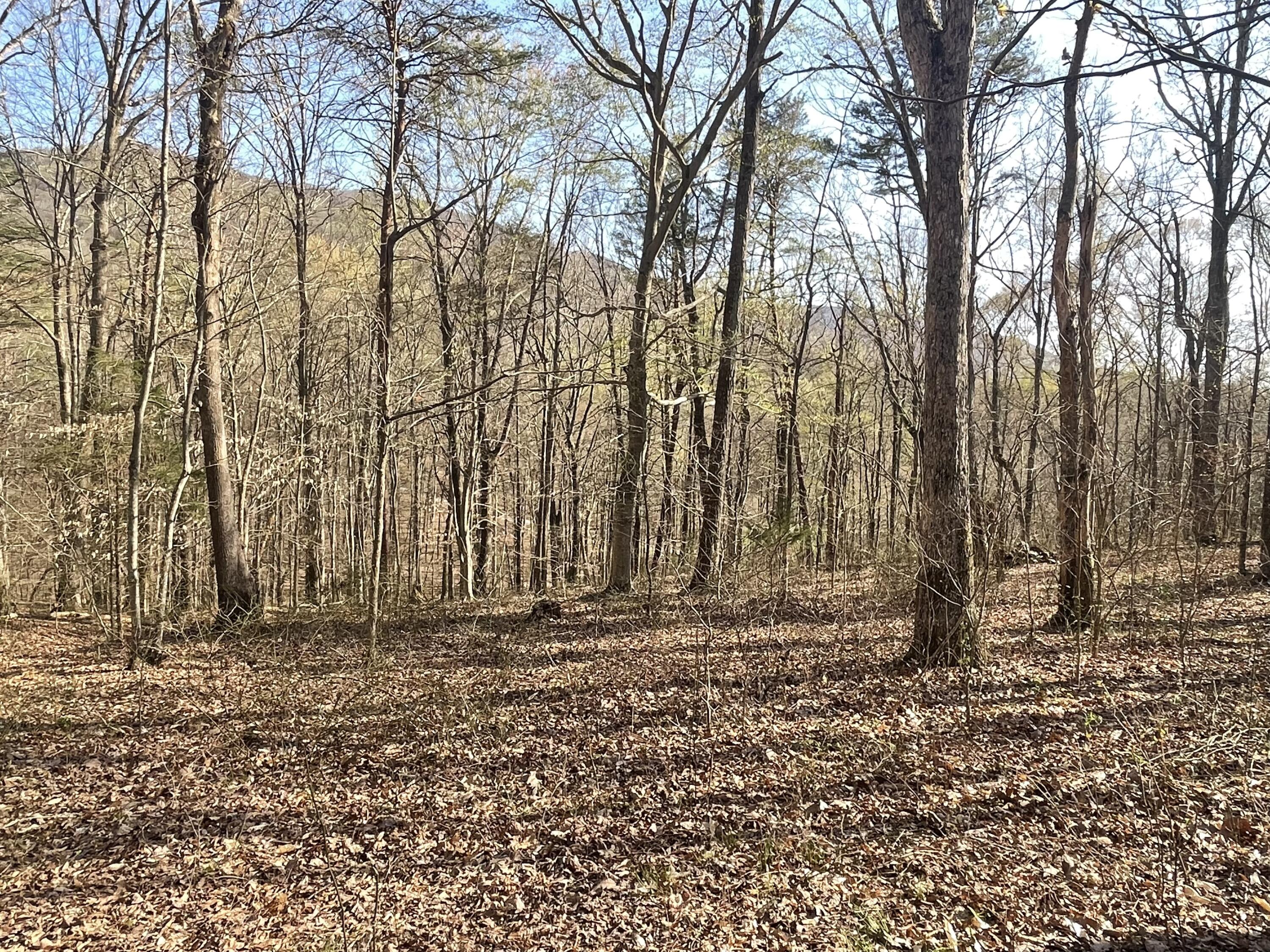 109 Homestead Road Whitwell, TN 37397 - Photo 113 of 130 CFBB0402-D8FF-41DF-B493-8F017108AF38