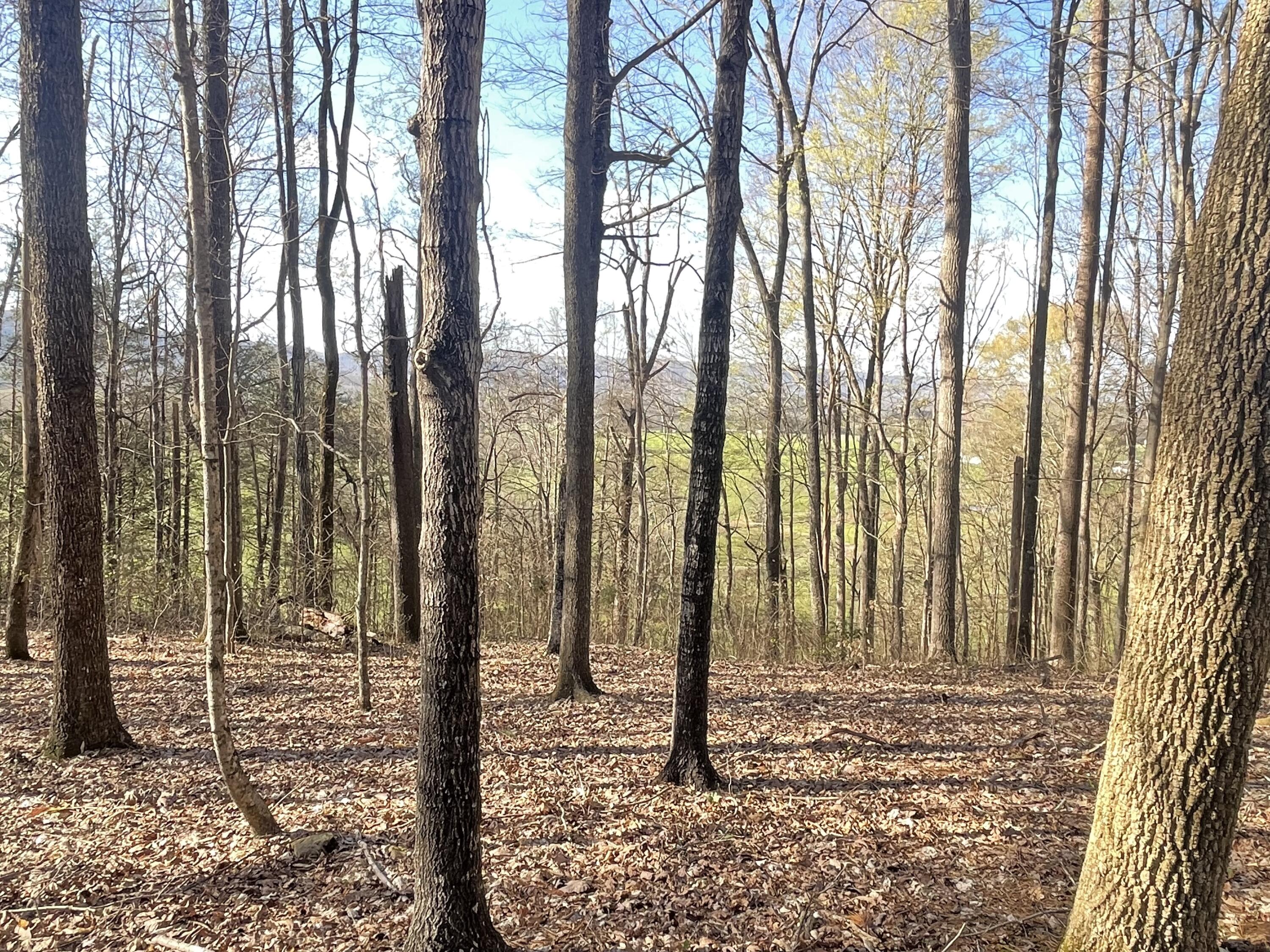 109 Homestead Road Whitwell, TN 37397 - Photo 116 of 130 98D25619-94FD-405F-B6FB-2175FD154214
