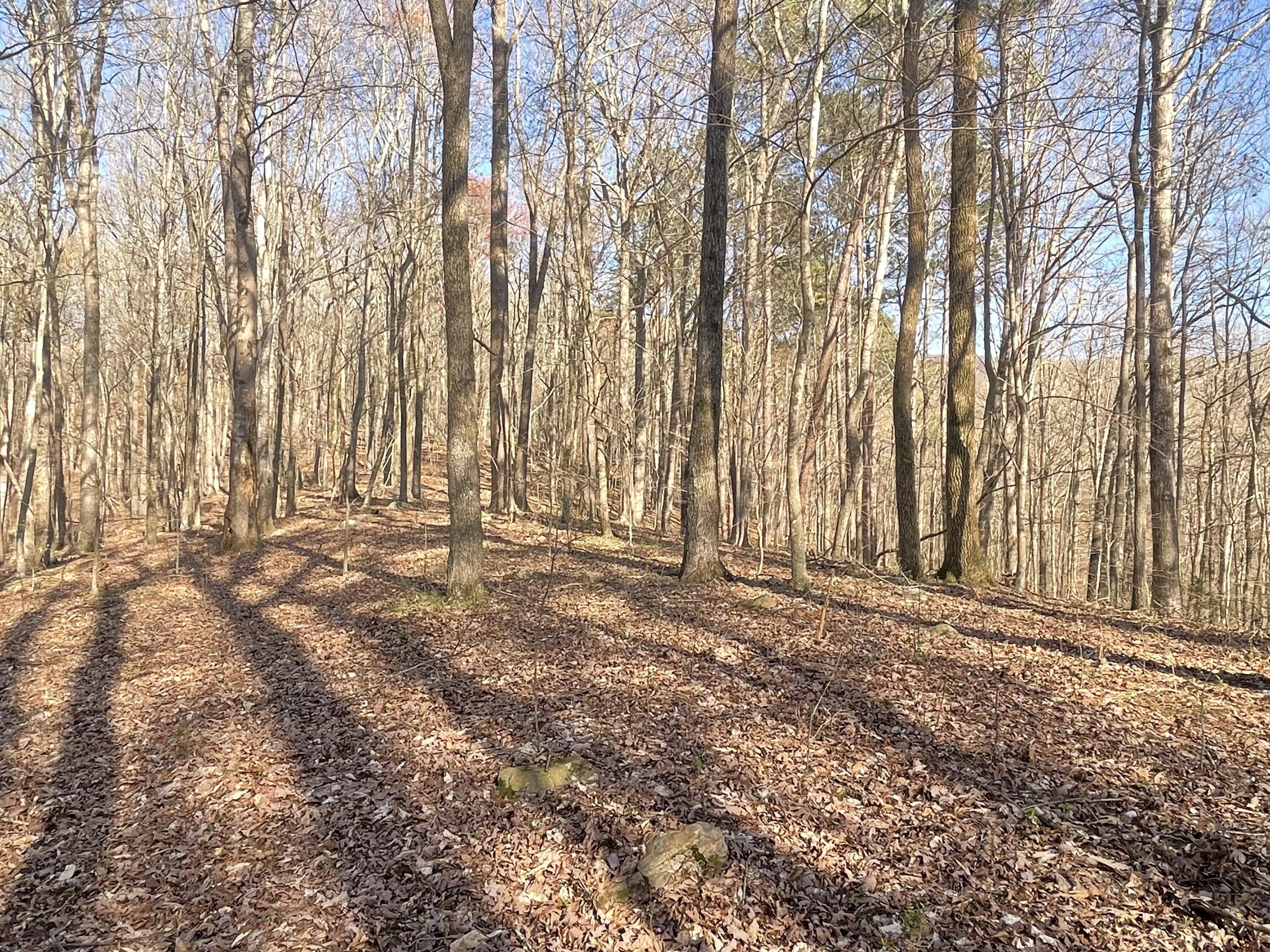 109 Homestead Road Whitwell, TN 37397 - Photo 118 of 130 481E6BD5-BED2-441F-ABE3-4D6A9FBB55AC
