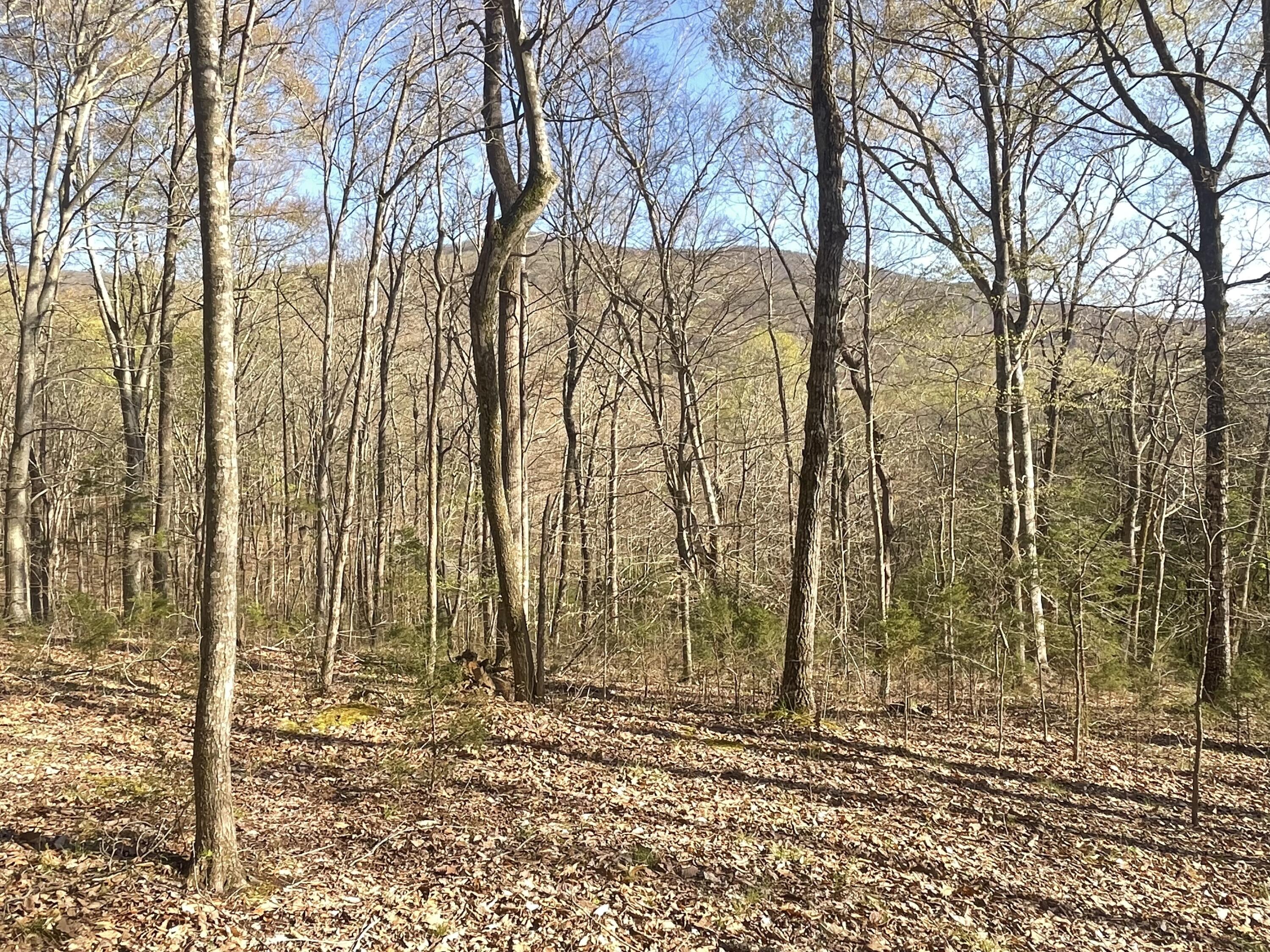 109 Homestead Road Whitwell, TN 37397 - Photo 122 of 130 79E2070B-6766-4DCC-8B0B-0E24D54A50F6