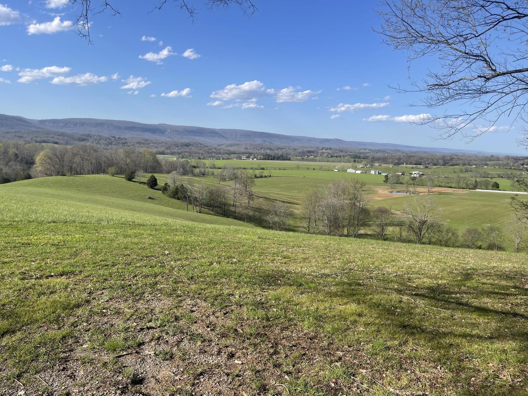 109 Homestead Road Whitwell, TN 37397 - Photo 2 of 130 28ECC514-8377-4AB0-AE58-91E28EC099E5