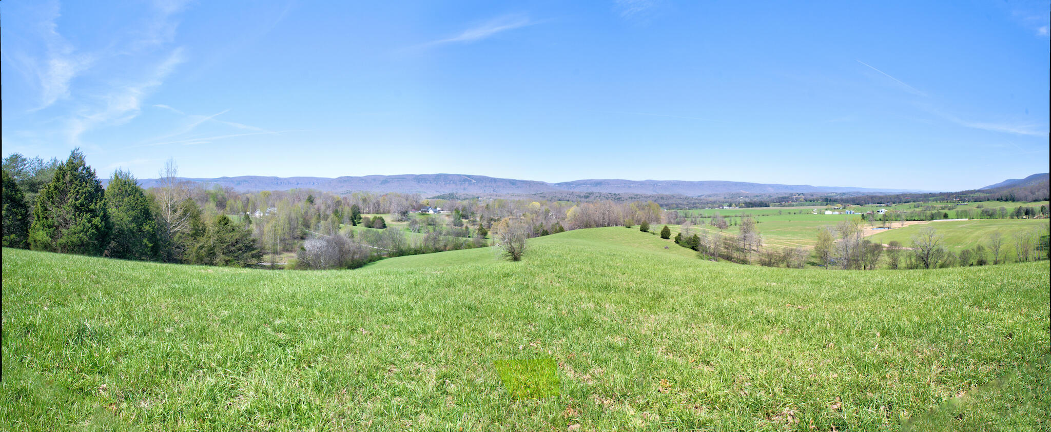 109 Homestead Road Whitwell, TN 37397 - Photo 40 of 130 19414015-C6D9-492C-9973-5DD2DBE9F387