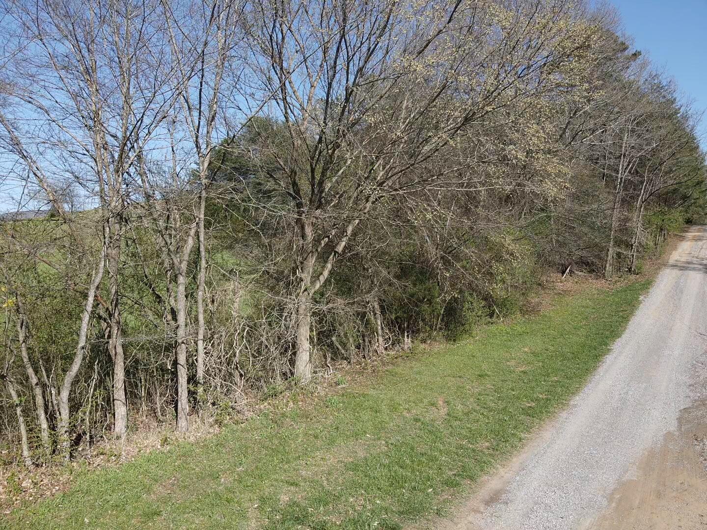 109 Homestead Road Whitwell, TN 37397 - Photo 46 of 130 E79D41BD-88B3-4148-8078-1479B07699B8