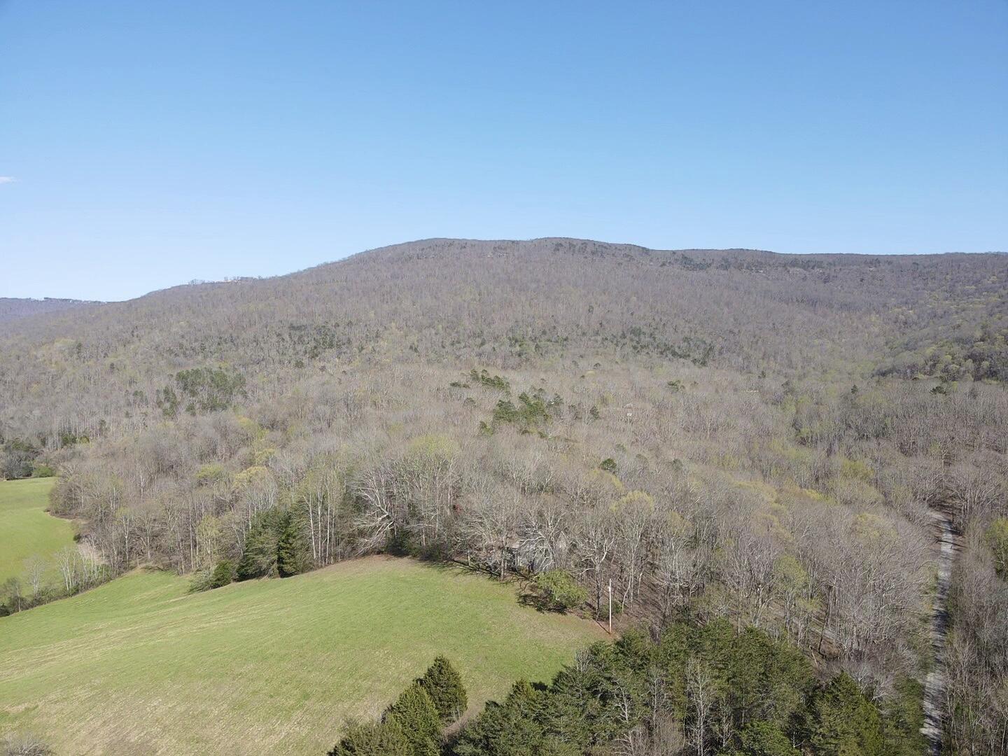 109 Homestead Road Whitwell, TN 37397 - Photo 48 of 130 45279869-81FB-4106-B28E-A32C117F0AD8