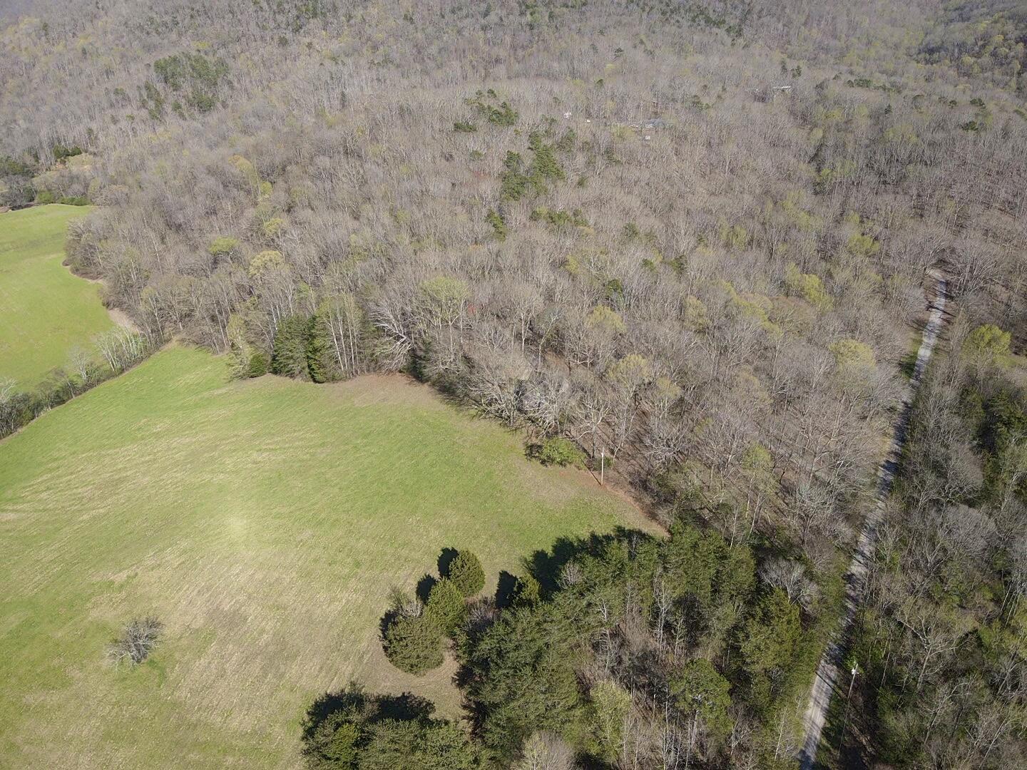 109 Homestead Road Whitwell, TN 37397 - Photo 54 of 130 0183C834-25D6-4B99-9E03-1715972873A2