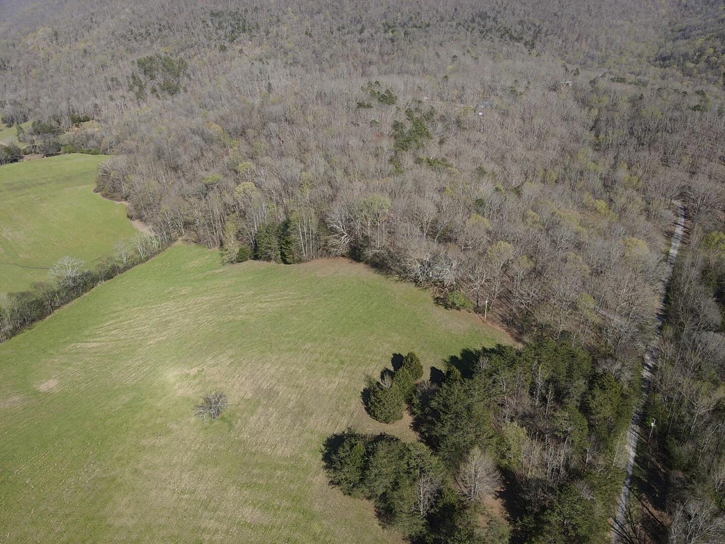 109 Homestead Road Whitwell, TN 37397 - Photo 64 of 130 88F2915D-79C4-45EC-8FC0-7CB61354ECB9