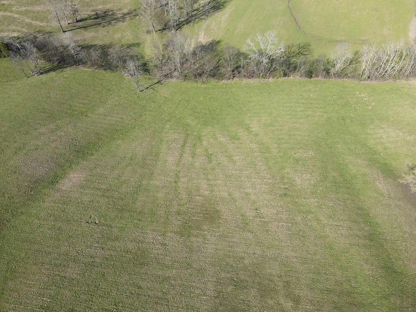 109 Homestead Road Whitwell, TN 37397 - Photo 70 of 130 661ED3C1-B0FD-4665-B85B-24C34C9CF9B7
