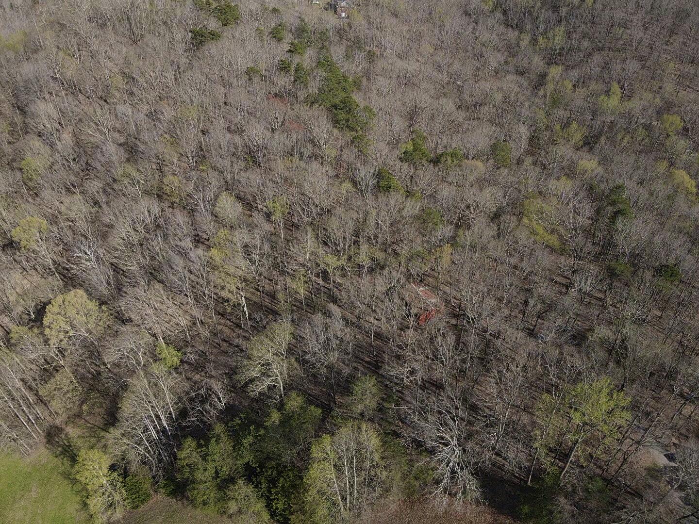 109 Homestead Road Whitwell, TN 37397 - Photo 75 of 130 EF4AEAE2-2A2F-496A-9022-70A99D2F6C50