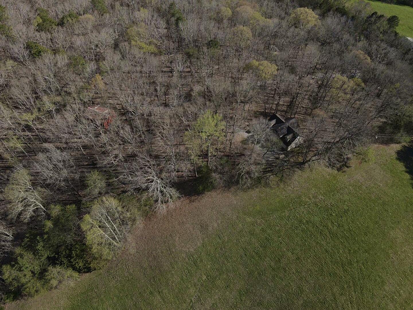 109 Homestead Road Whitwell, TN 37397 - Photo 77 of 130 358816C3-9710-47CB-891F-EFAFC4515418