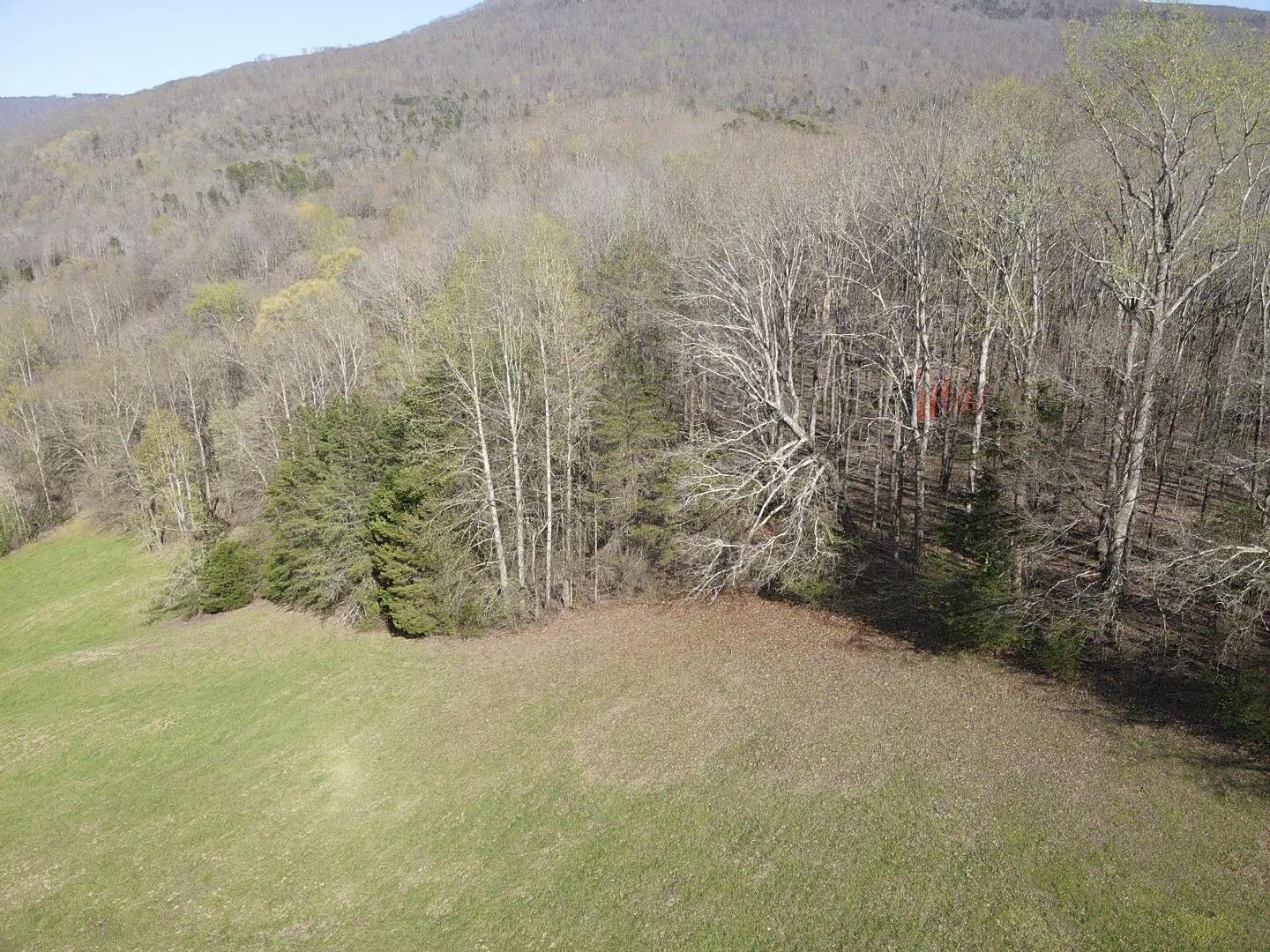 109 Homestead Road Whitwell, TN 37397 - Photo 84 of 130 B0C9E2F8-B0FD-4CFD-9AD0-1BFF684B1C06