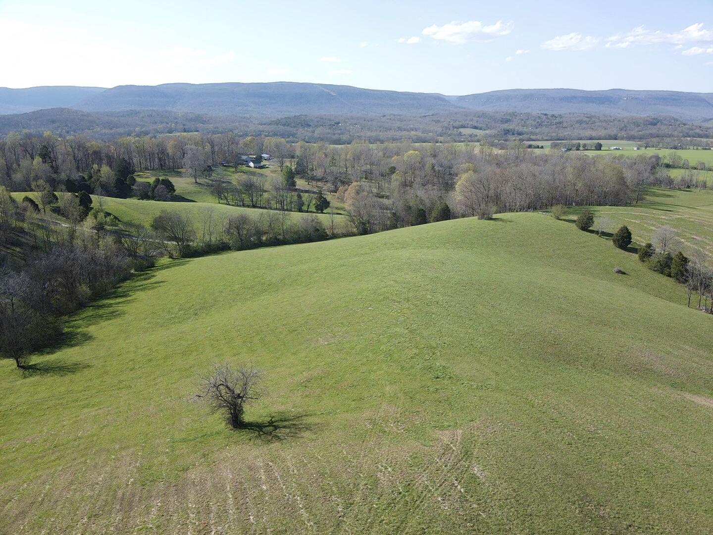 109 Homestead Road Whitwell, TN 37397 - Photo 85 of 130 54DBF05E-BD82-4BB7-B576-37D0D17BD1F8