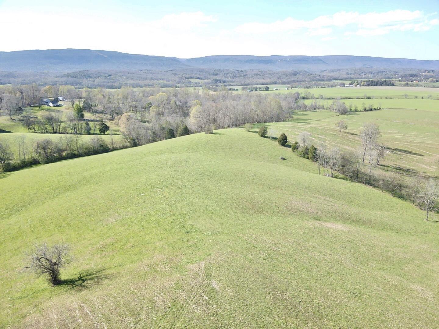 109 Homestead Road Whitwell, TN 37397 - Photo 88 of 130 FBCA040E-DE0A-4DDC-9D99-D3A16A1B8601
