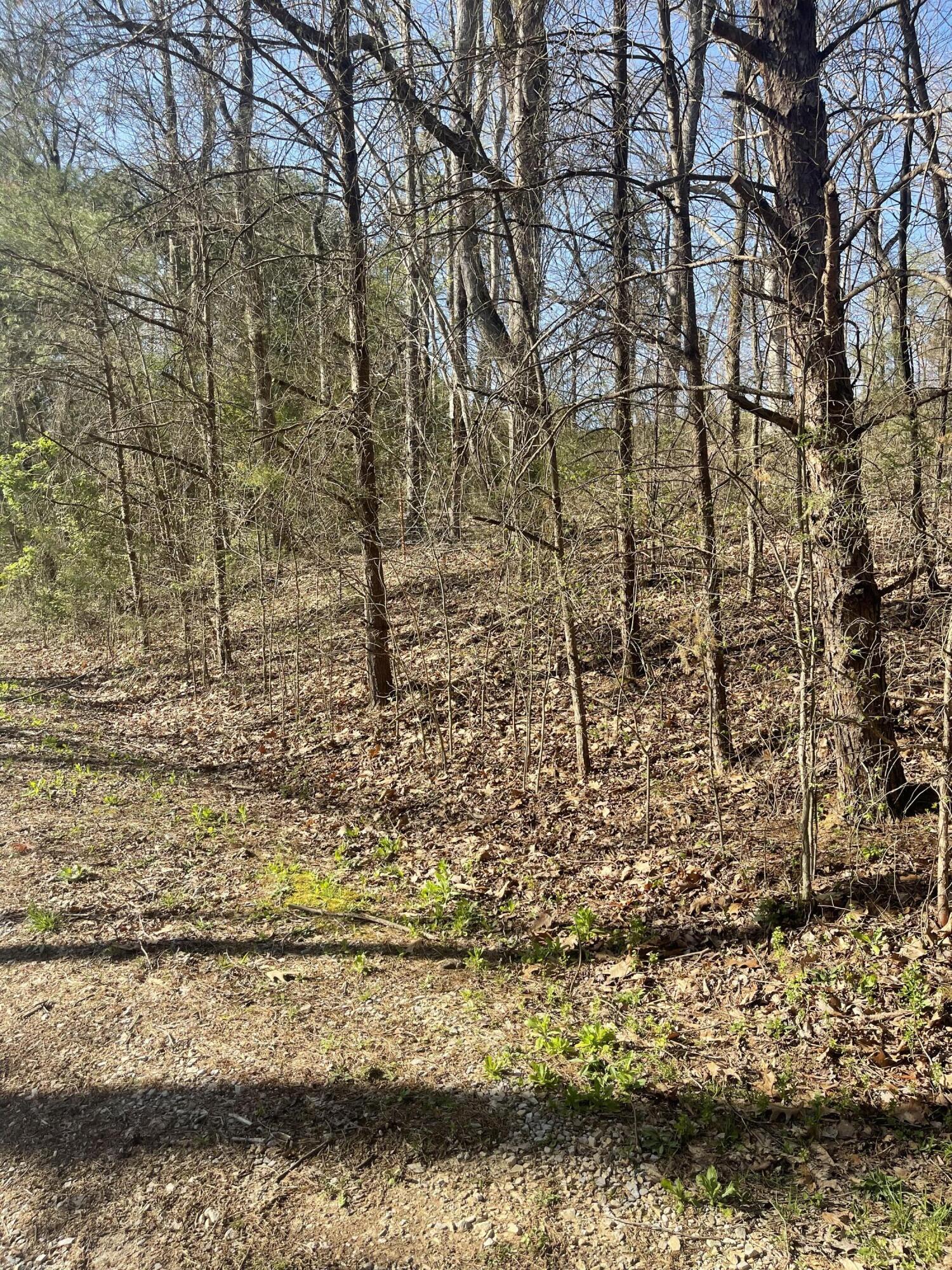 109 Homestead Road Whitwell, TN 37397 - Photo 96 of 130 BD2D2759-0EBD-4529-ADF2-0A6BE03F75E4